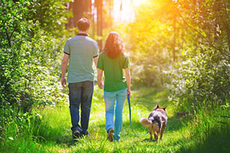 couple walking dog