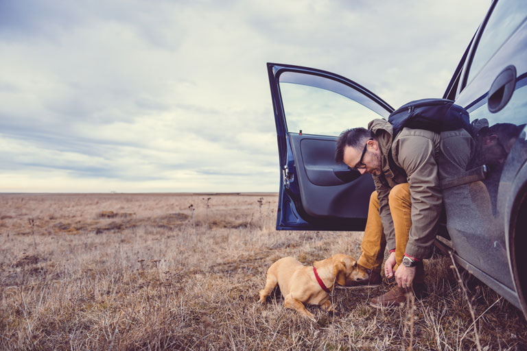 A man tying his shoes outside of his car with his dog eagerly waiting as they are about to go on a walk in a field. 