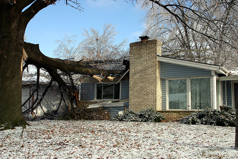 Fallen tree on house in winter