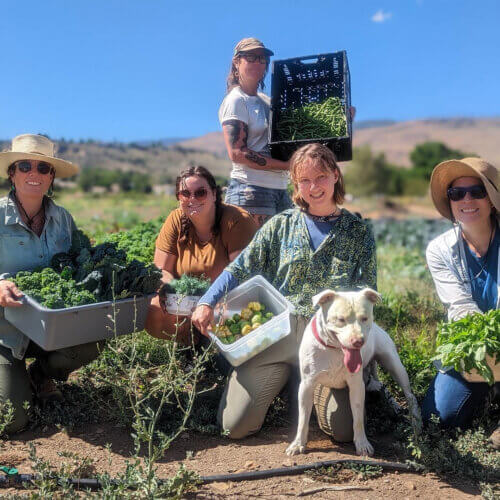 Reno Food Systems volunteers with freshly picked produce