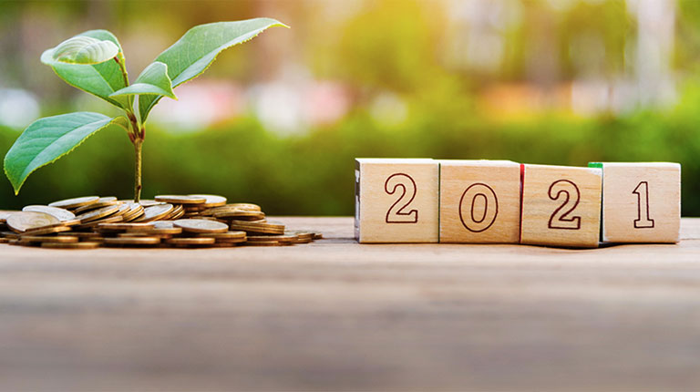 Small sprout next to coins and 2021 blocks