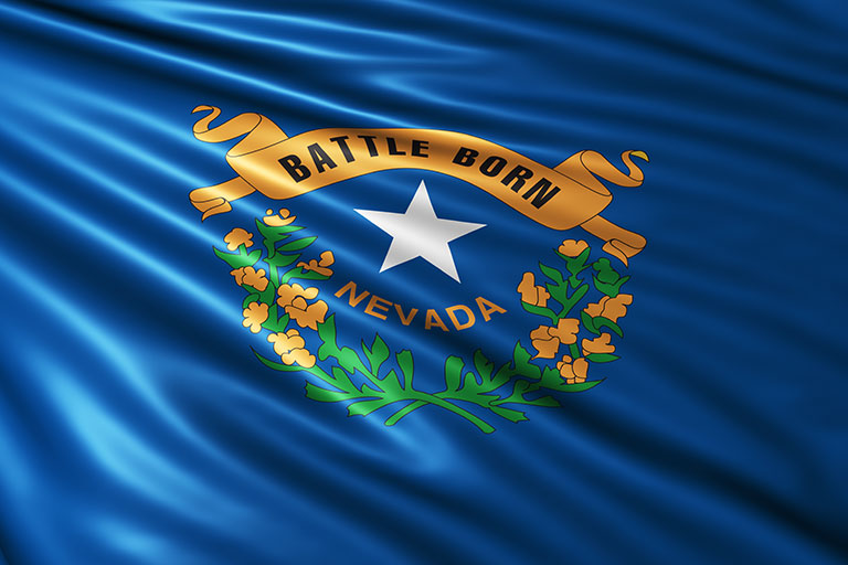 Nevada state flag graphic