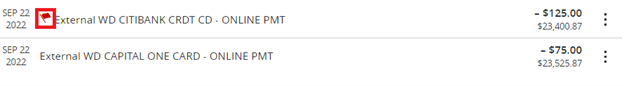 Screenshot showing a red flag on an account charge