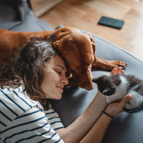 Woman laying down with dog and kitten