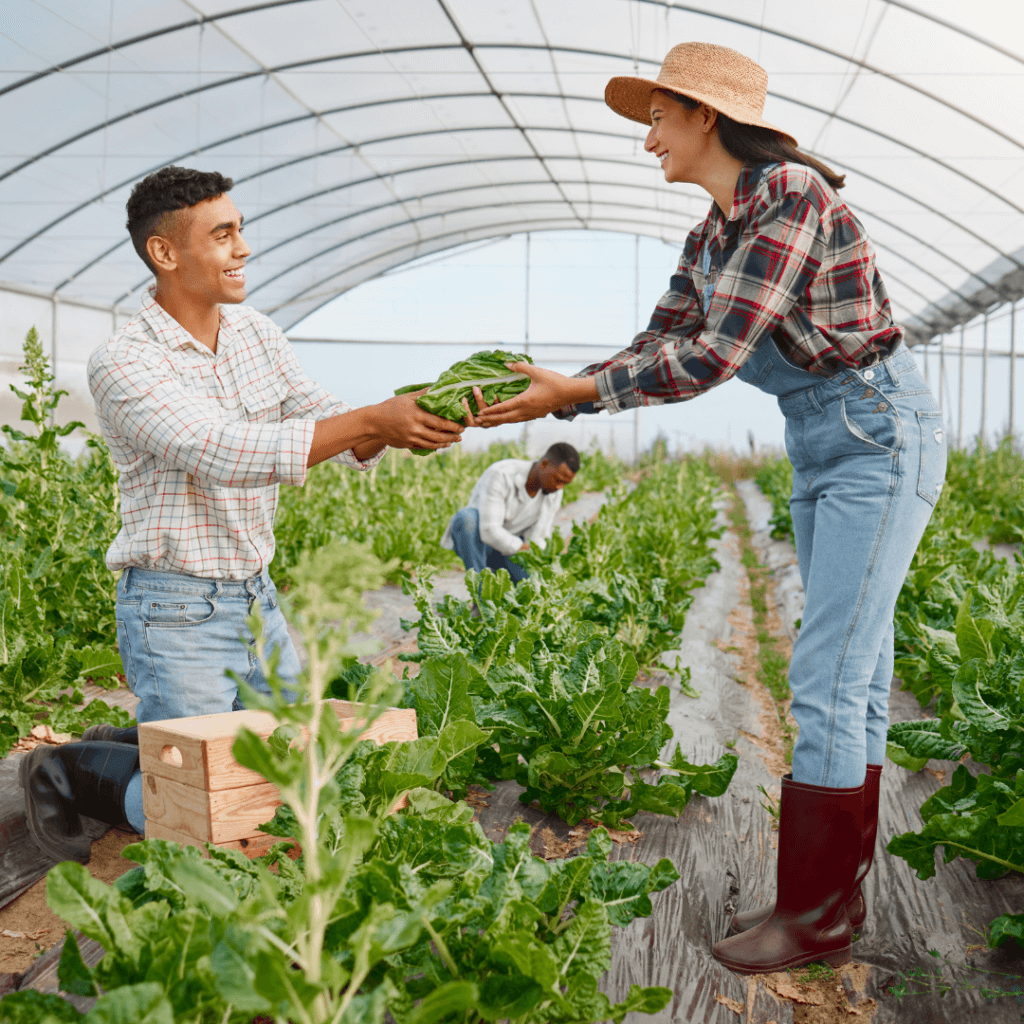Three people working together at a farm.
