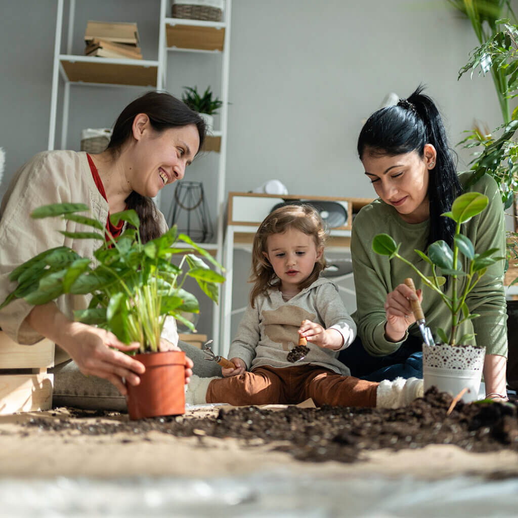 Family indoor gardening
